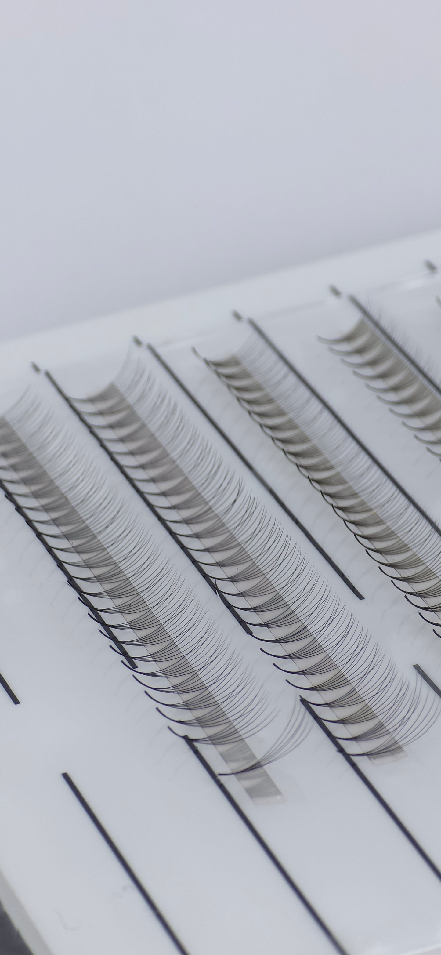 Premade Collection 1000 Fan